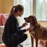 Consultation individuelle éducateur et chien